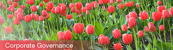 Corporate Governance